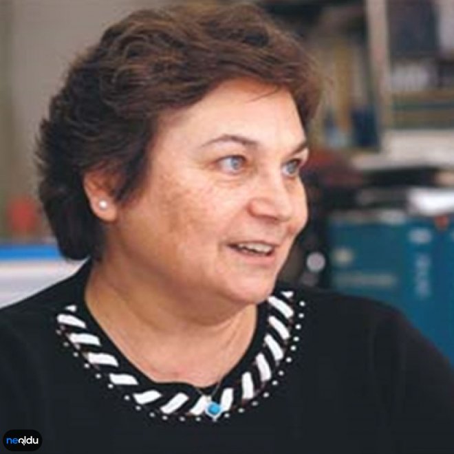 Türk Fizik Derneği 2023 Prof. Dr. Engin ARIK Bilim İnsanı Ödülü